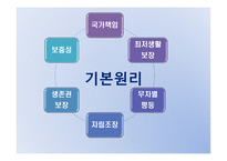 공공부조법 - 공공부조법의 개념 및 특징, 공공부조의 기본원리, 공공부조와 사회보험 -5