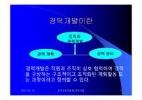 Career Development (경력개발) - 경력개발 입문, 경력개발 제도의 효과, 조직에서의 경력개발 -3