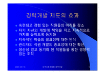 Career Development (경력개발) - 경력개발 입문, 경력개발 제도의 효과, 조직에서의 경력개발 -5