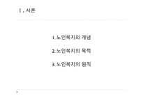 노인복지 - 노인복지의 개념 -3