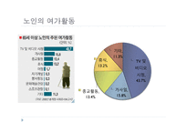 노인복지 - 노인복지의 개념 -19