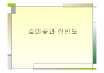 호미곶과 한반도 -1