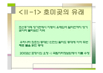 호미곶과 한반도 -4