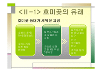 호미곶과 한반도 -5