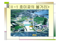 호미곶과 한반도 -6