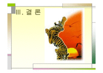 호미곶과 한반도 -13
