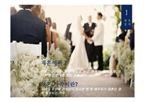 재혼부모 - 재혼가정정의, 재혼가정특성 -3