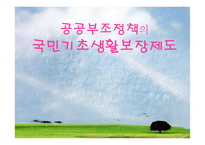 공공부조정책의 국민기초생활보장제도 -1