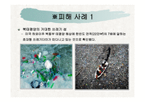 생태문제와 대안 - 폐기물 -5