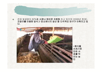 생태문제와 대안 - 폐기물 -17