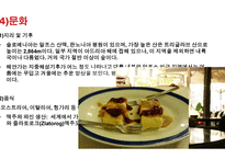 슬로베니아 스페인 - 정치와 정치구조 -16