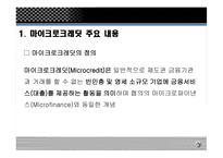 마이크로크레딧 - 주요 내용, 운영 사례 -3
