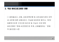 마이크로크레딧 - 주요 내용, 운영 사례 -12