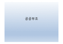 공공부조 - 공공부조, 국민기초생활보장제도, 각종제도, 개정부문 및 문제점 -1
