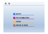 공공부조 - 공공부조, 국민기초생활보장제도, 각종제도, 개정부문 및 문제점 -2