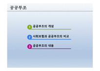 공공부조 - 공공부조, 국민기초생활보장제도, 각종제도, 개정부문 및 문제점 -3