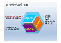 공공부조 - 공공부조, 국민기초생활보장제도, 각종제도, 개정부문 및 문제점 -6