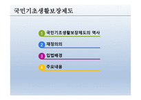 공공부조 - 공공부조, 국민기초생활보장제도, 각종제도, 개정부문 및 문제점 -9