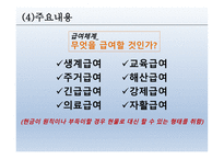 공공부조 - 공공부조, 국민기초생활보장제도, 각종제도, 개정부문 및 문제점 -18