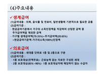 공공부조 - 공공부조, 국민기초생활보장제도, 각종제도, 개정부문 및 문제점 -19