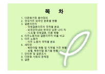 다문화 - 다문화가정 용어정의, 국내거주 외국인 분류별 현황 -2