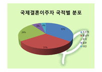 다문화 - 다문화가정 용어정의, 국내거주 외국인 분류별 현황 -5