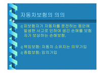 교통사고 - 교통사고 처리특례법 -5