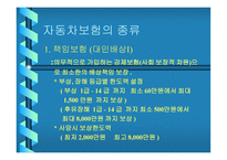 교통사고 - 교통사고 처리특례법 -6