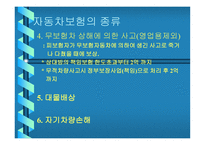 교통사고 - 교통사고 처리특례법 -8