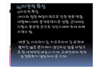 동남아시아의 문화 -11