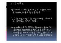 동남아시아의 문화 -14