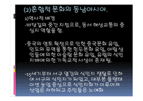 동남아시아의 문화 -15