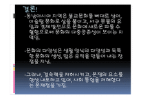 동남아시아의 문화 -19