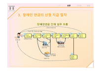 장애인연금 - 정책분석과 현황 -13