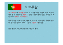 포르투갈, 아일랜드, 덴마크 - 수도와 정치 -3