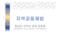 지역공동체법 - 중남미 지역의 경제 공동체 -1