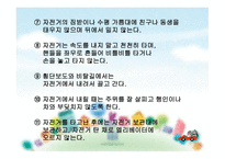 영유아 교통안전 -15