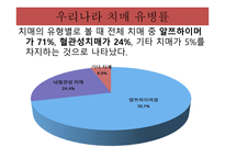 소리없는 죽음 치매 - 치매란 무엇인가 -9