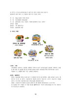 [방통대 2019-2]자신이 새로운 소상공업을 창업한다고 생각하고, 소점포 사업계획서를 작성해보시오.-10