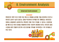Vita 500 유행 아닌 신화로 - Introduction, Environment Analysis, Objective -7