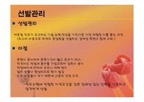 채용관리 - 아시아나 항공의 경영, 이념철학 -7