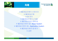 SC 제일은행 CI 전략 -2
