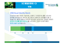 SC 제일은행 CI 전략 -13