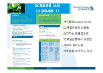 SC 제일은행 CI 전략 -17