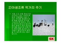 SK의 Green Marketing 전략 -7