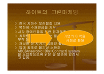 마케팅 성공사례 - CI 전략(에넥스) -19