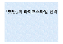 햇반의 라이프스타일 전략 - 전략이란, 소개, 개발 배경 -1