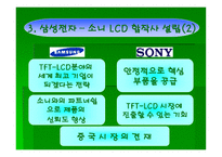 심비오틱 마케팅 (Symbiotic Marketing) 삼성-소니 -7