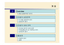 브라질 외환위기 정책 -2
