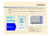 브라질 외환위기 정책 -3